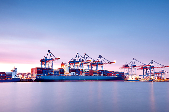 豐富的采購經(jīng)驗